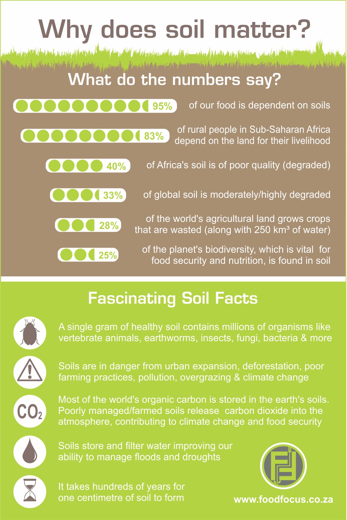 Why does soil matter (Infographic)