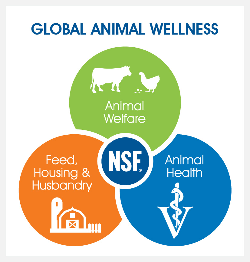 NSF global animal wellness